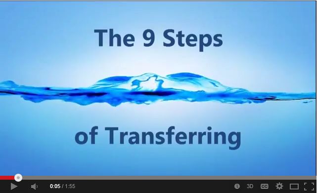 Video 3 9 steps of transfering