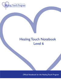 Level 6 Notebook